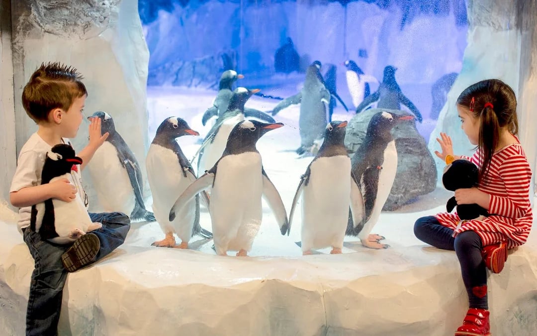 National SEA LIFE Centre Birmingham Tickets Image 4