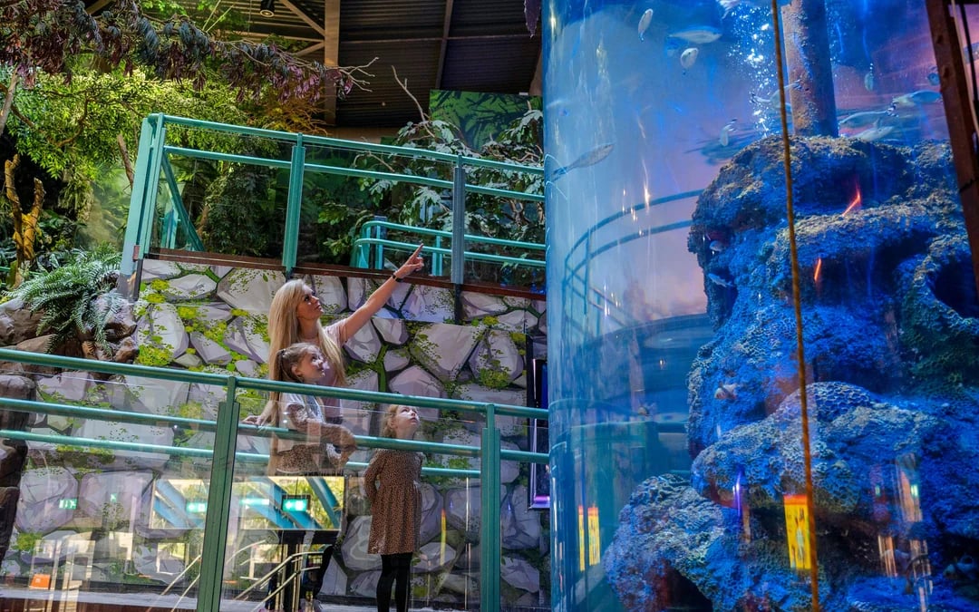 National SEA LIFE Centre Birmingham Tickets Image 7