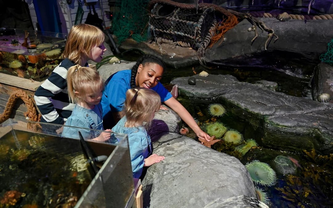 National SEA LIFE Centre Birmingham Tickets Image 9