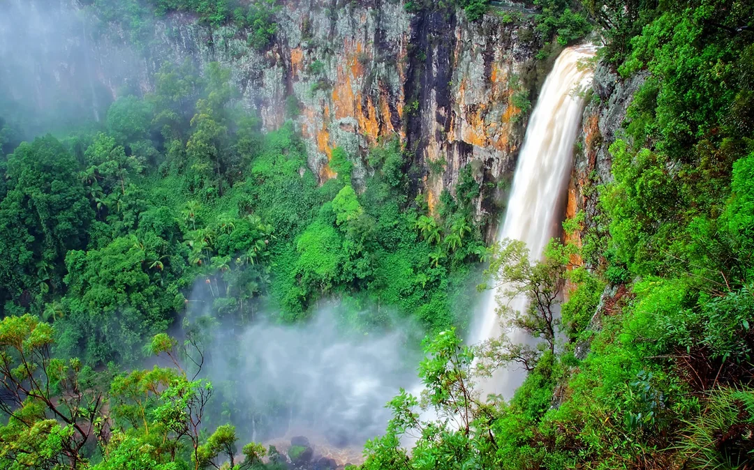 Natural Bridge & Springbrook Waterfalls Tour Image 2