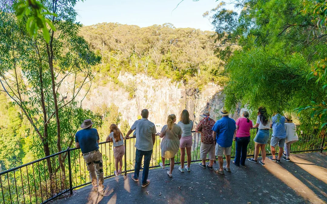 Natural Bridge & Springbrook Waterfalls Tour Image 4