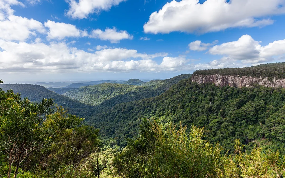 Natural Bridge & Springbrook Waterfalls Tour Image 5
