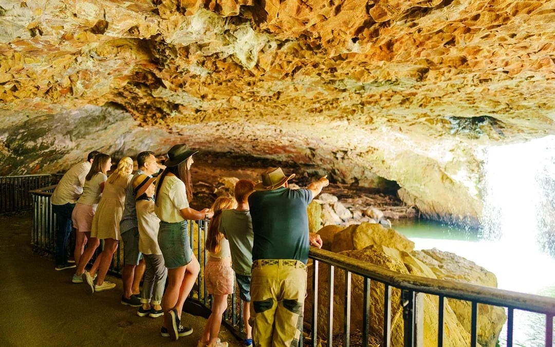 Natural Bridge & Springbrook Waterfalls Tour Image 6