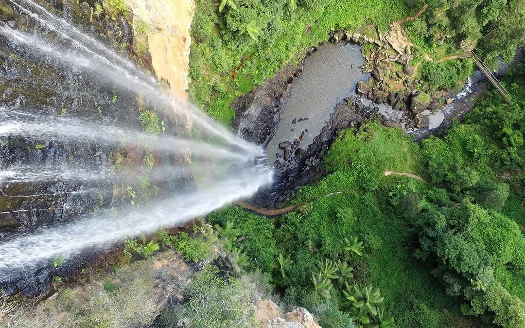 Natural Bridge & Springbrook Waterfalls Tour Image 10