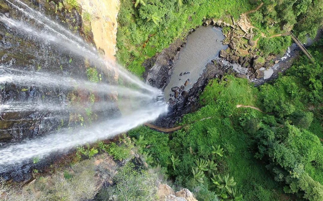 Natural Bridge & Springbrook Waterfalls Tour Image 10