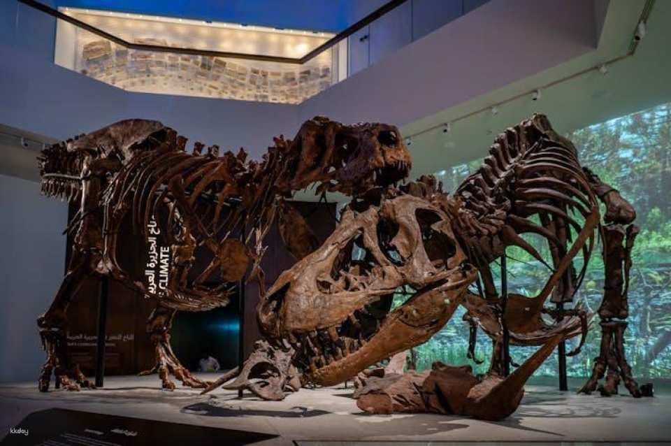 Natural History Museum of Abu Dhabi entrance tickets