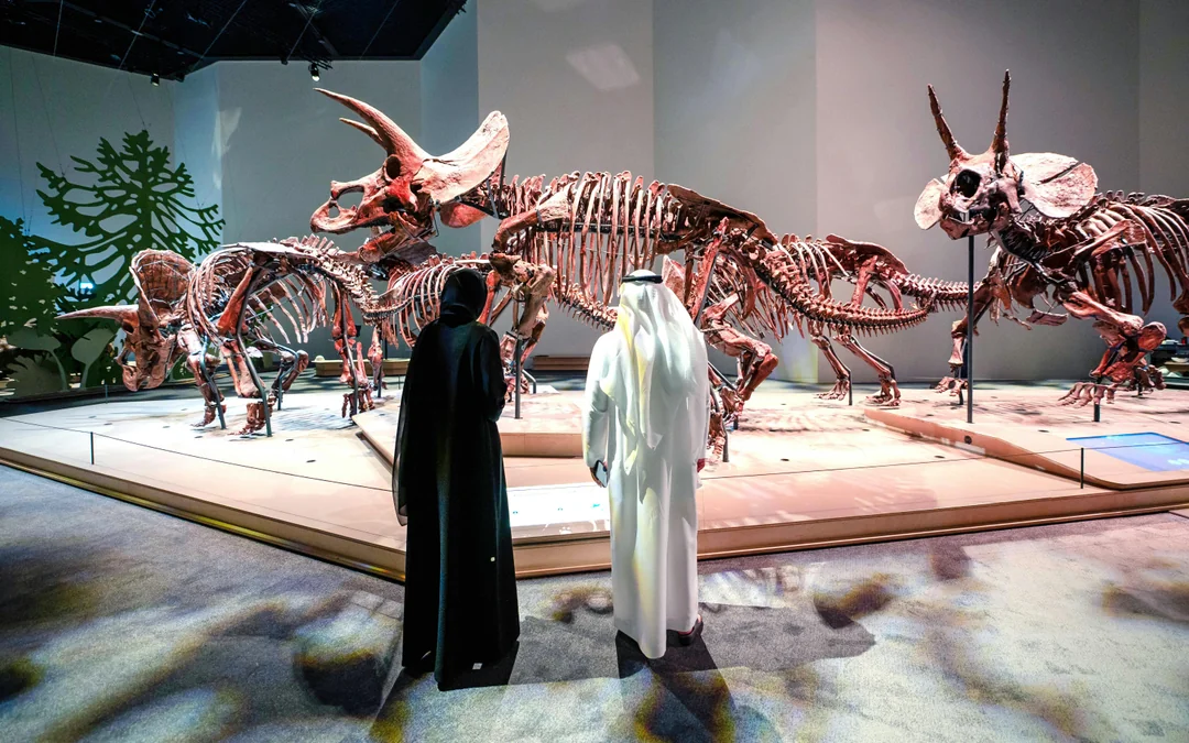 Natural History Museum Abu Dhabi Tickets Image 3