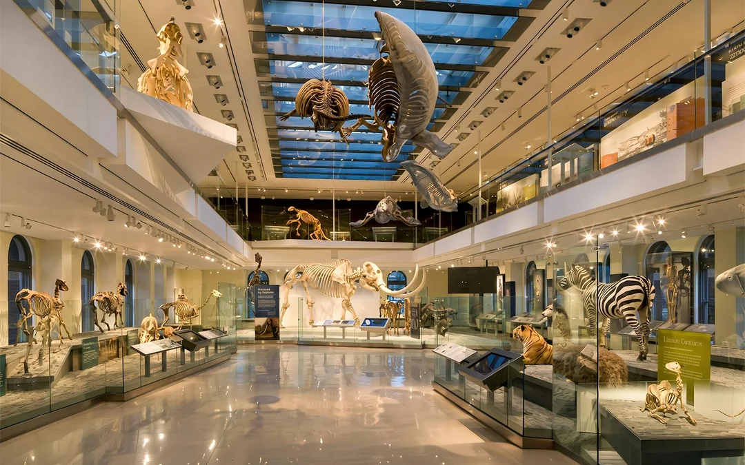 Natural History Museum of Los Angeles County Tickets Image 2