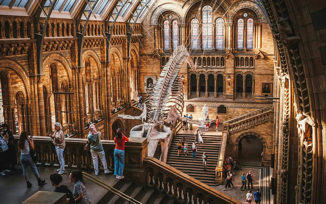 Natural History Museum Reserved Entry Ticket & Audio Tour Image 4