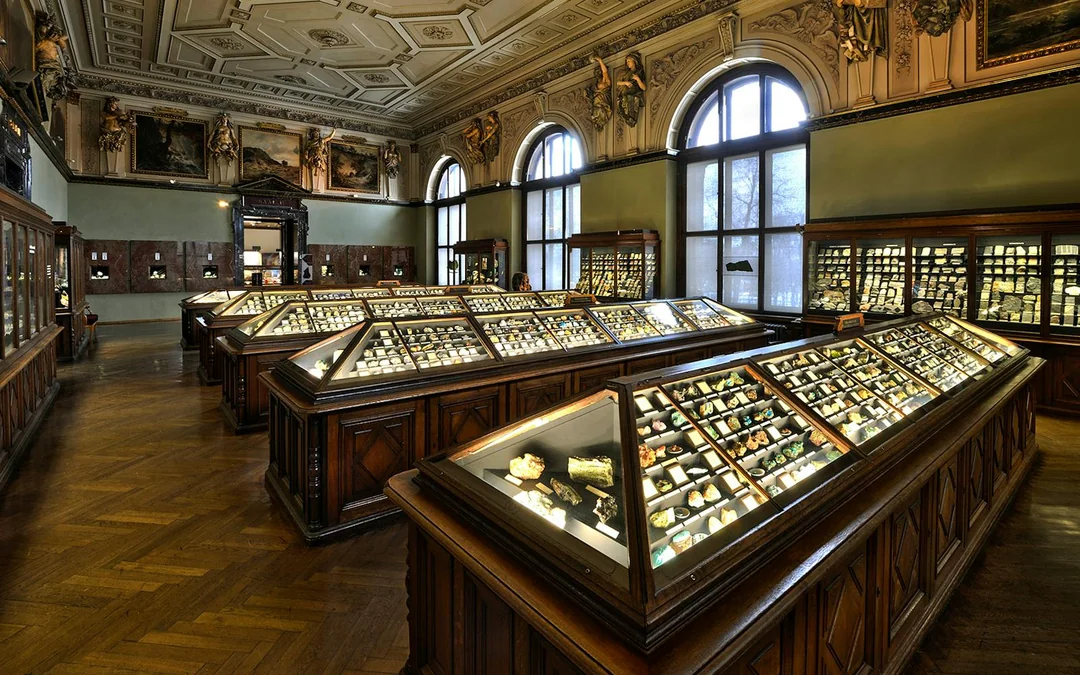 Natural History Museum Vienna Entry Tickets Image 2