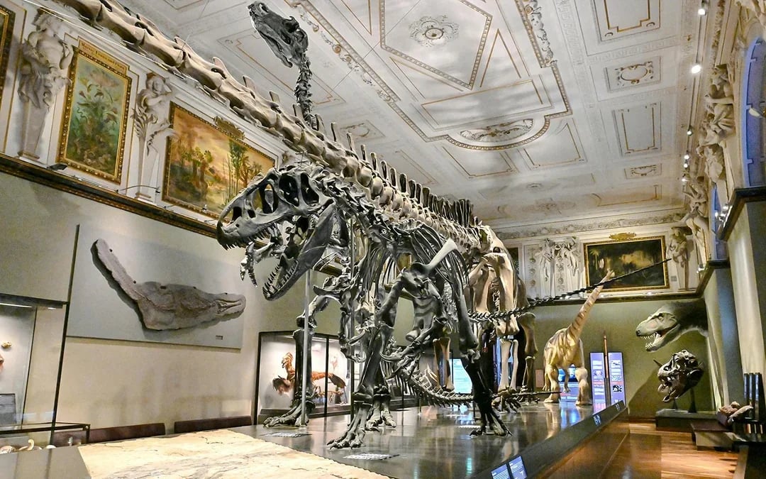 Natural History Museum Vienna Entry Tickets Image 3