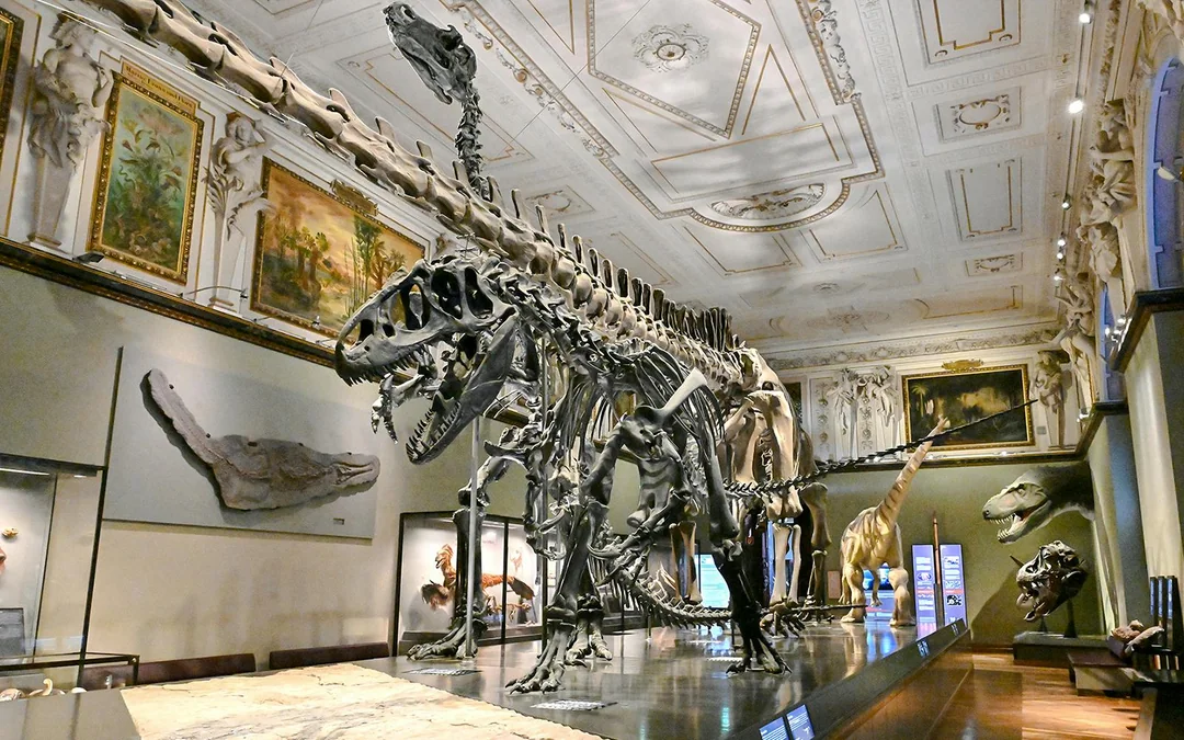 Natural History Museum Vienna Entry Tickets Image 3