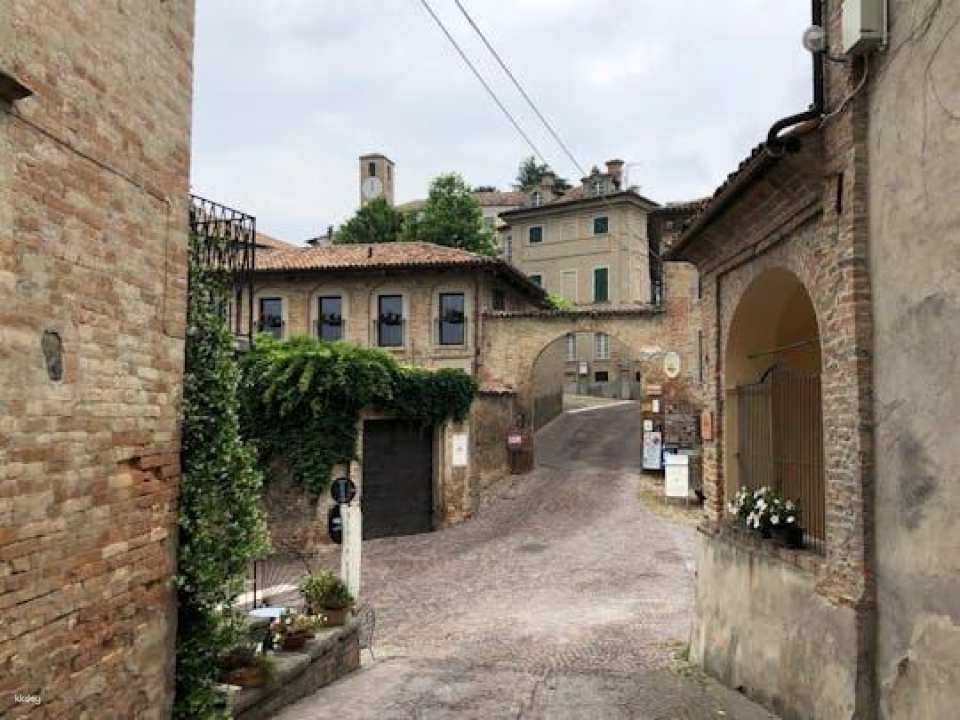 Neive Walking Tour with Winetasting