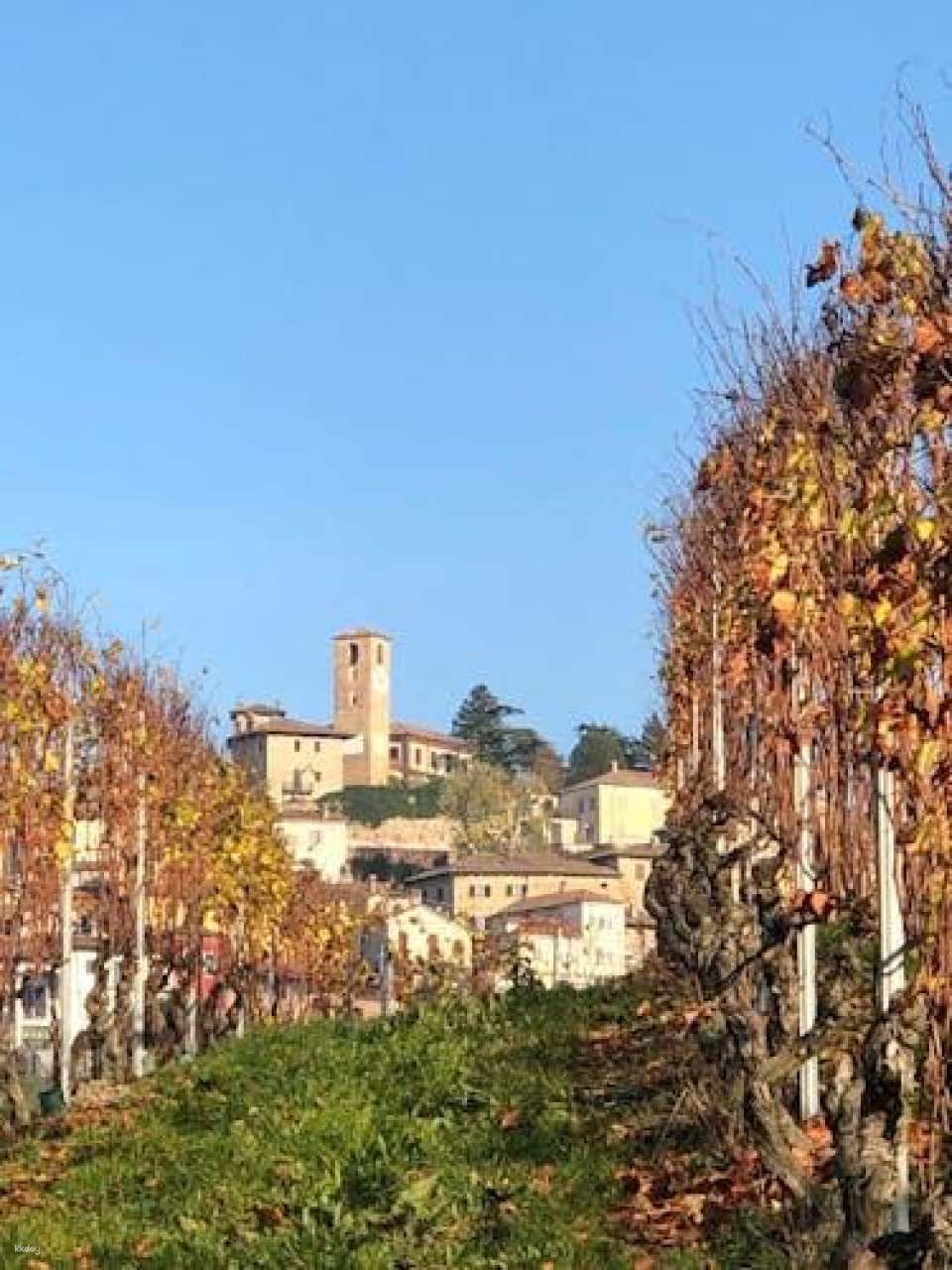 Neive Walking Tour with Winetasting