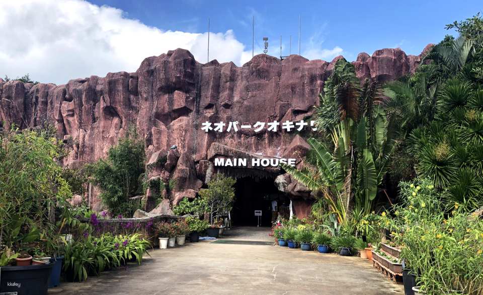 Neo Park Okinawa Admission Ticket | Japan