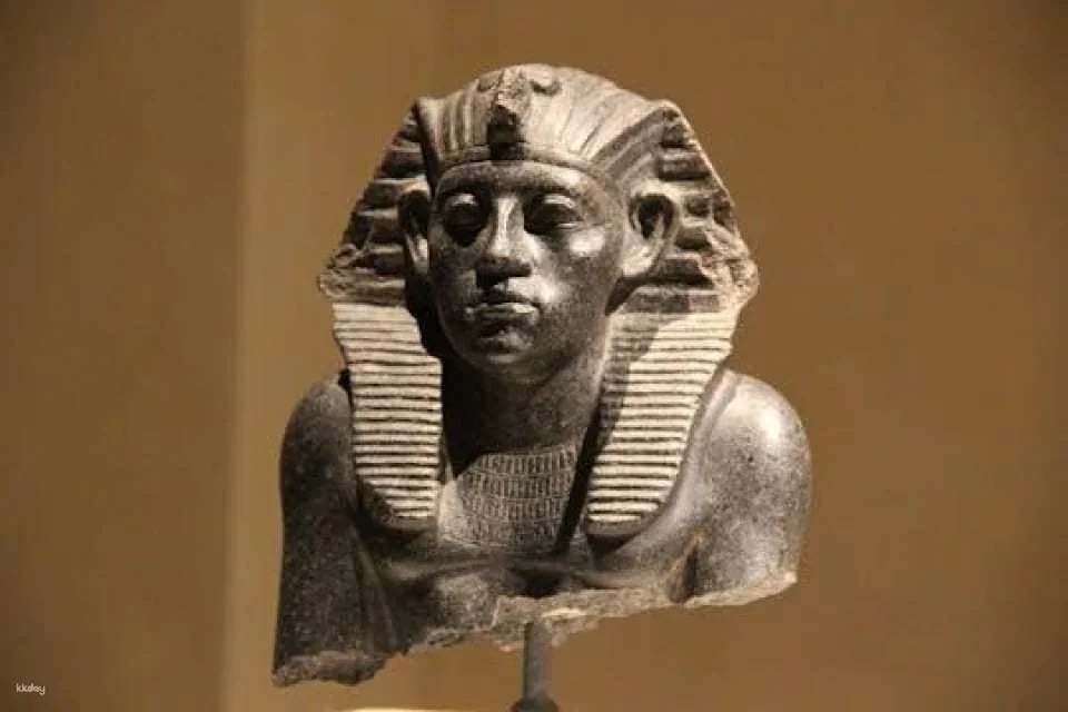 Neues Museum entrance ticket with self-guided audio tour