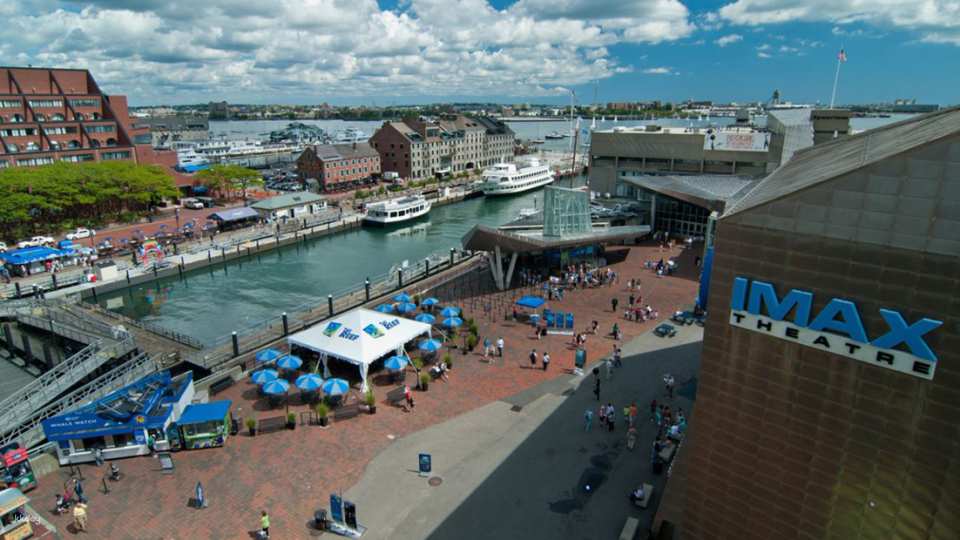 New England Aquarium Ticket & Optional 3D IMAX Movie Ticket | Boston