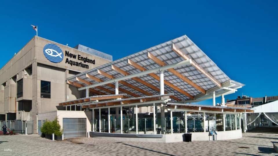 New England Aquarium Ticket & Optional 3D IMAX Movie Ticket | Boston