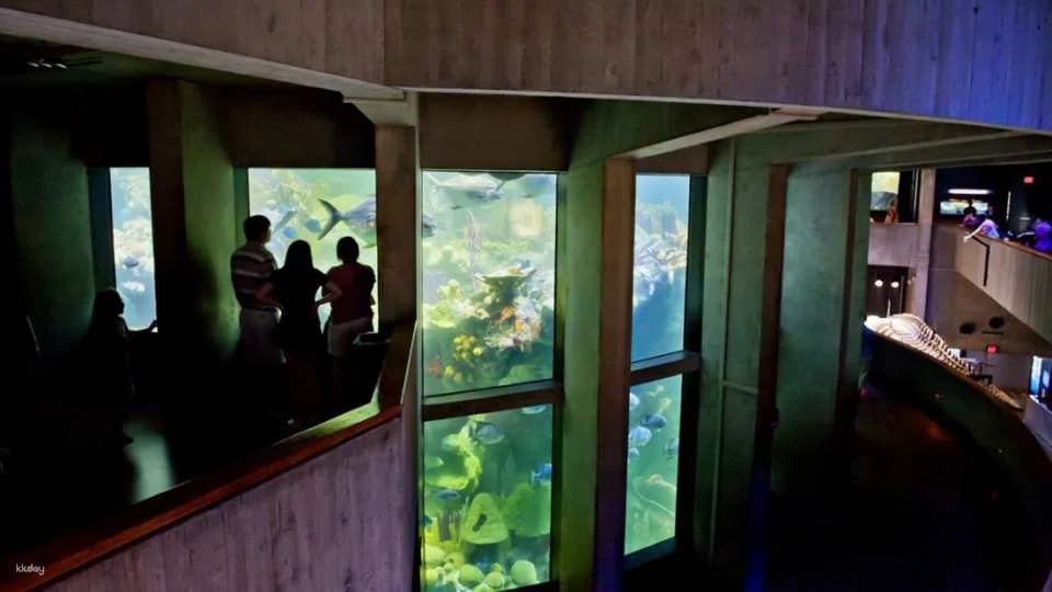 New England Aquarium Ticket & Optional 3D IMAX Movie Ticket | Boston