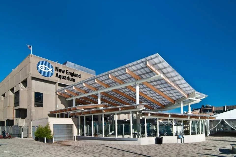 New England Aquarium Ticket & Optional 3D IMAX Movie Ticket | Boston