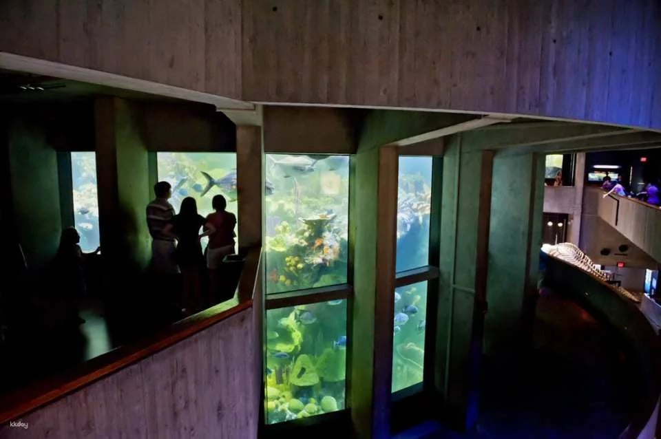 New England Aquarium Ticket & Optional 3D IMAX Movie Ticket | Boston