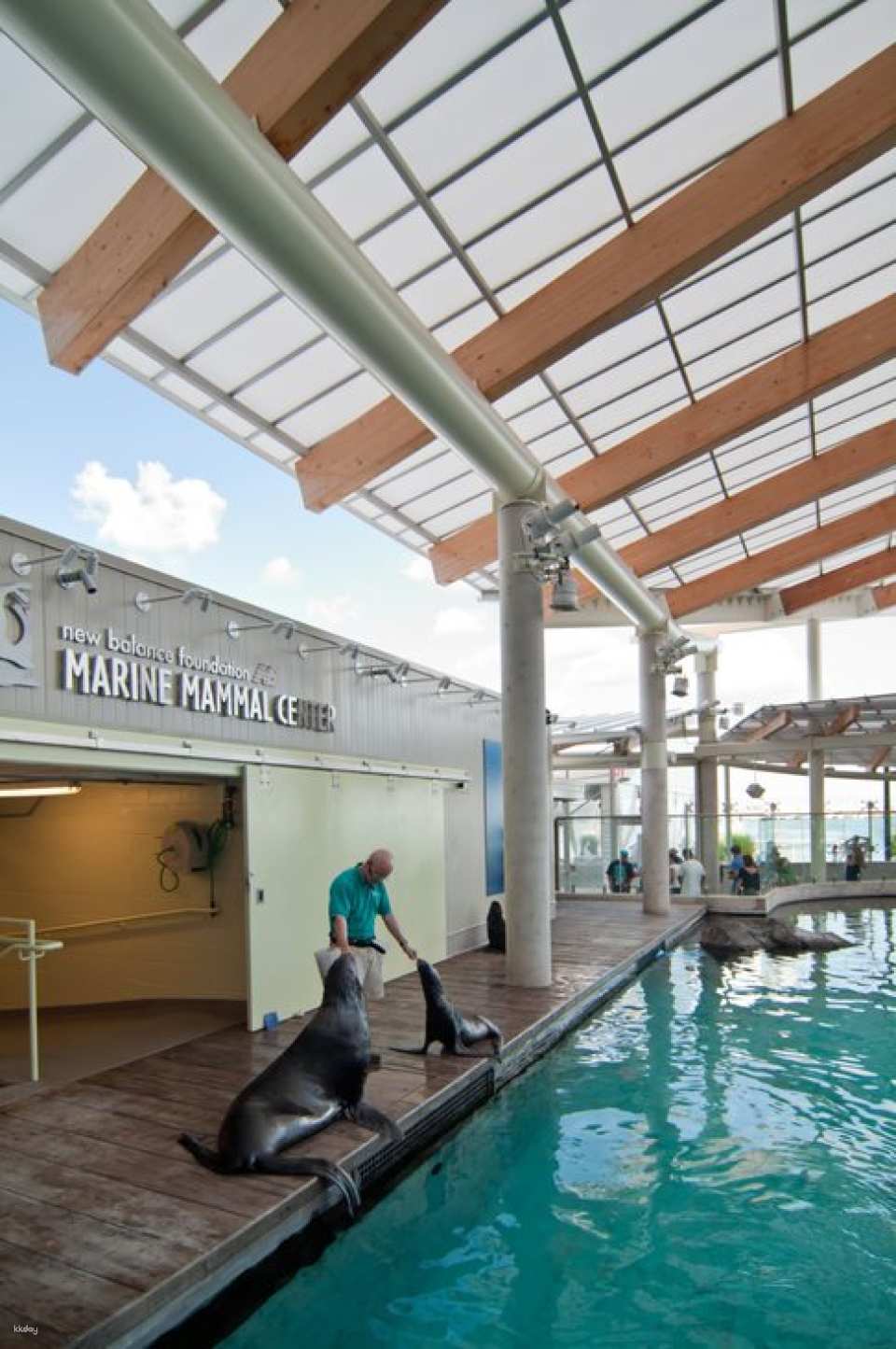 New England Aquarium Ticket & Optional 3D IMAX Movie Ticket | Boston