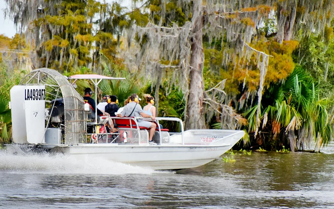 New Orleans: Large Airboat Swamp Tour Image 4