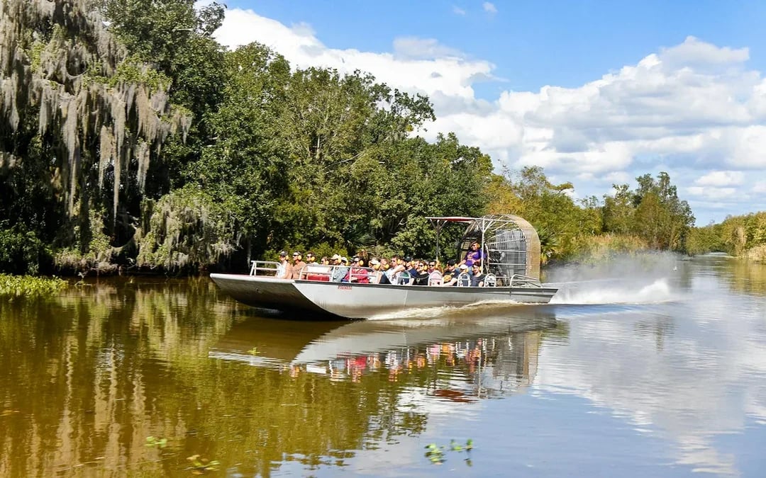 New Orleans: Large Airboat Swamp Tour Image 7