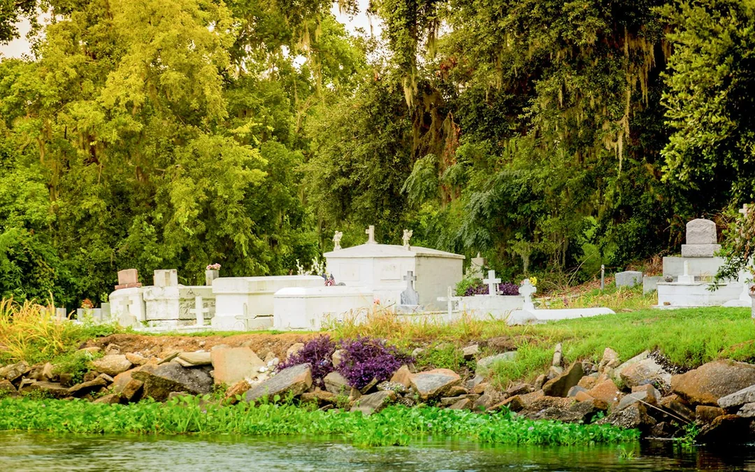 New Orleans: Swamp Boat Ride & Oak Alley Plantation Tour Image 11