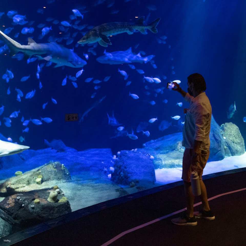 New York Aquarium Ticket | New York