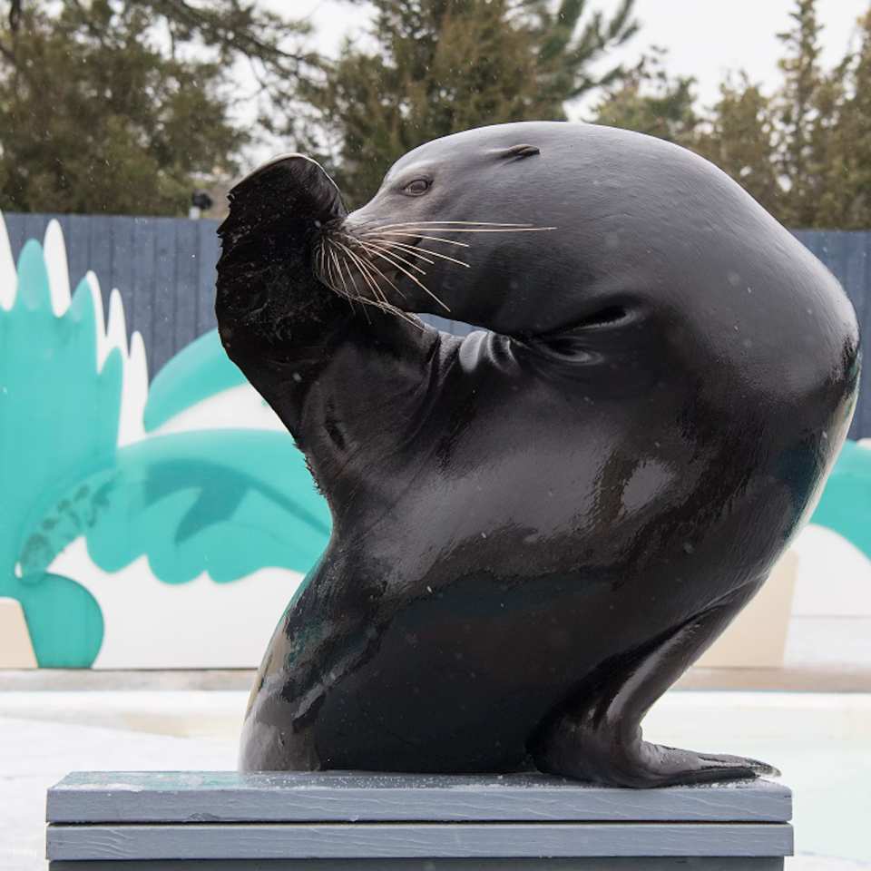 New York Aquarium Ticket | New York