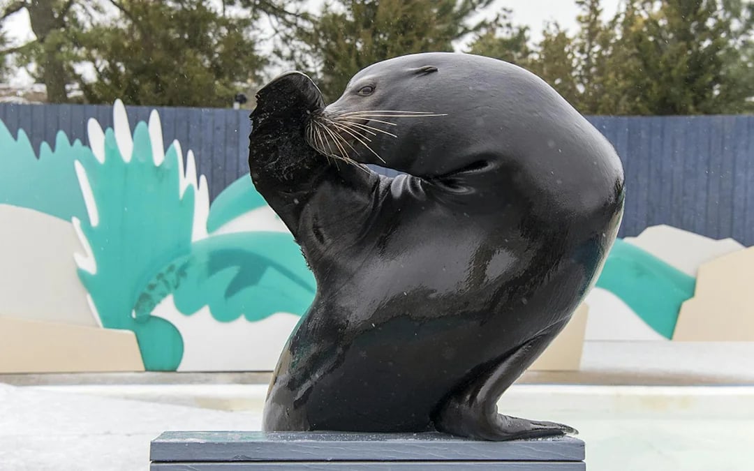New York Aquarium Tickets with 4D Theatre Show Image 4