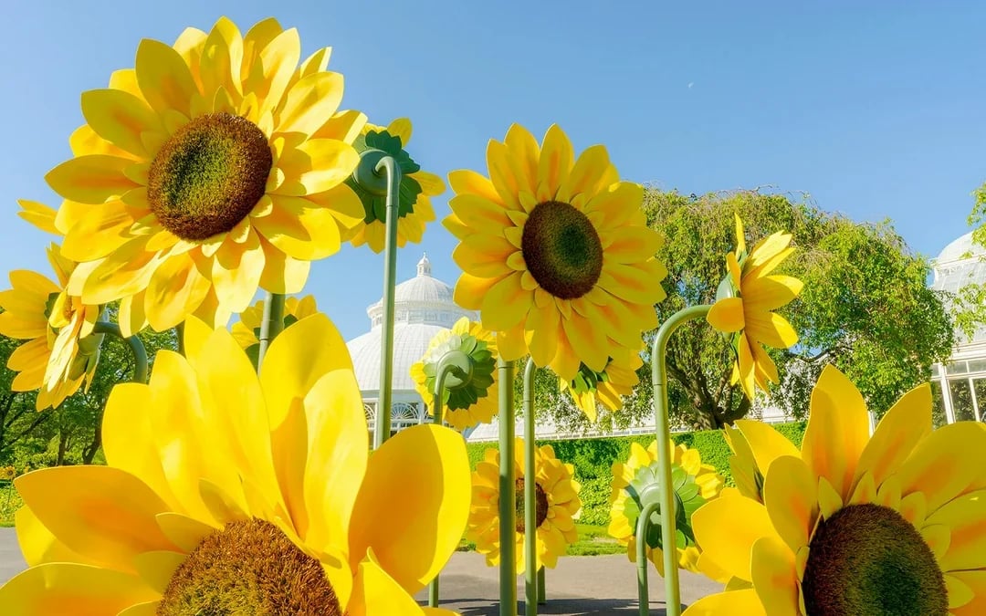 New York Botanical Garden Tickets Image 12