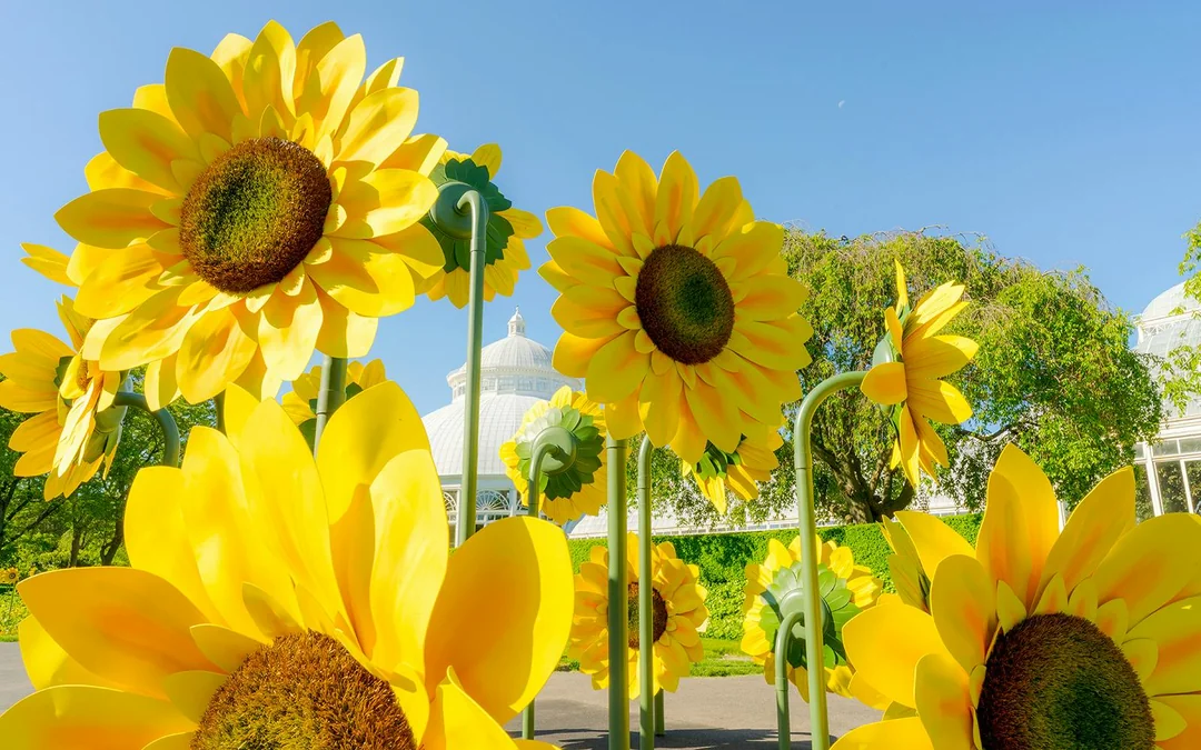 New York Botanical Garden Tickets Image 12