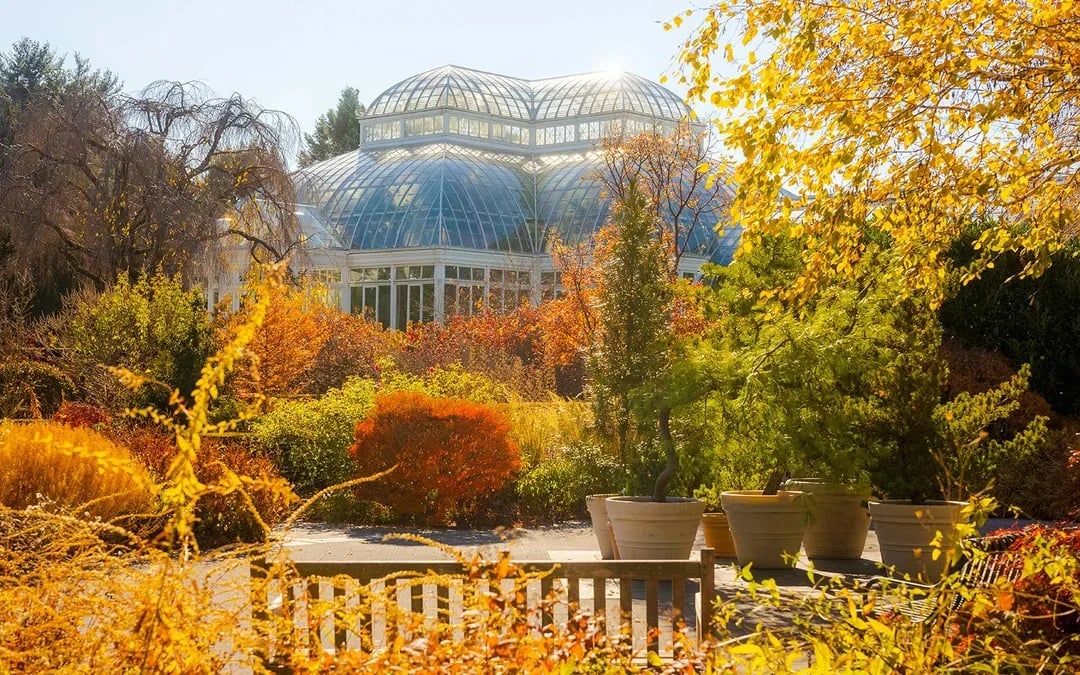 New York Botanical Garden Tickets Image 10