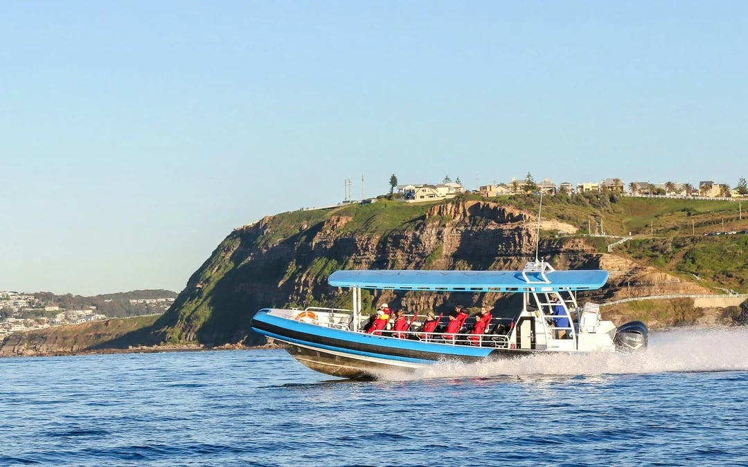 Newcastle Adventure Boat Tour Image 1