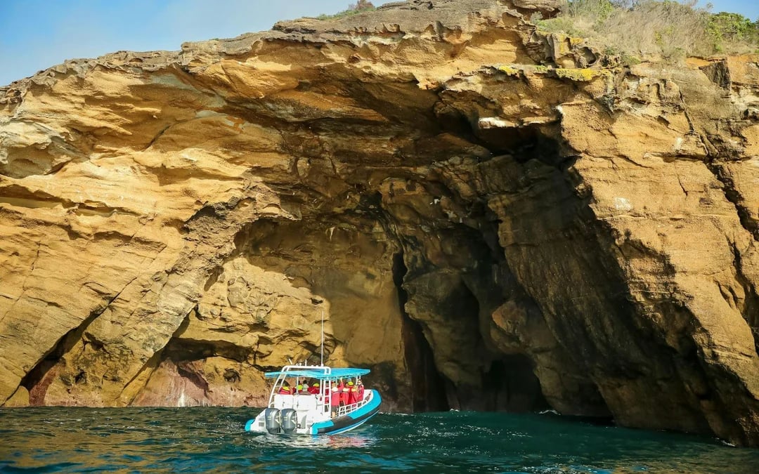 Newcastle Adventure Boat Tour Image 11