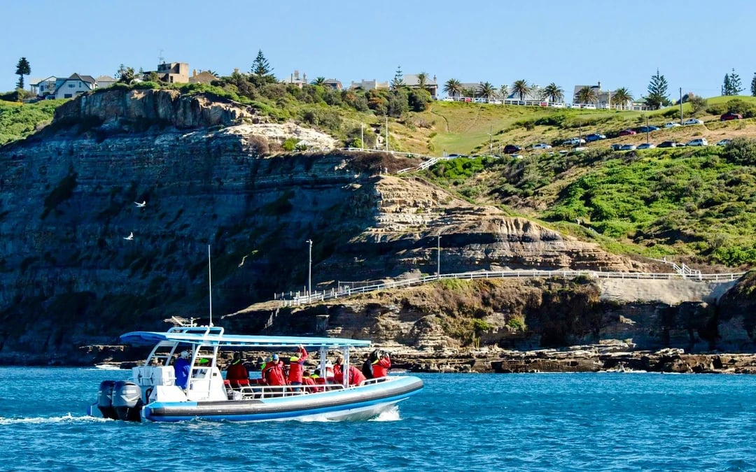 Newcastle Adventure Boat Tour Image 12