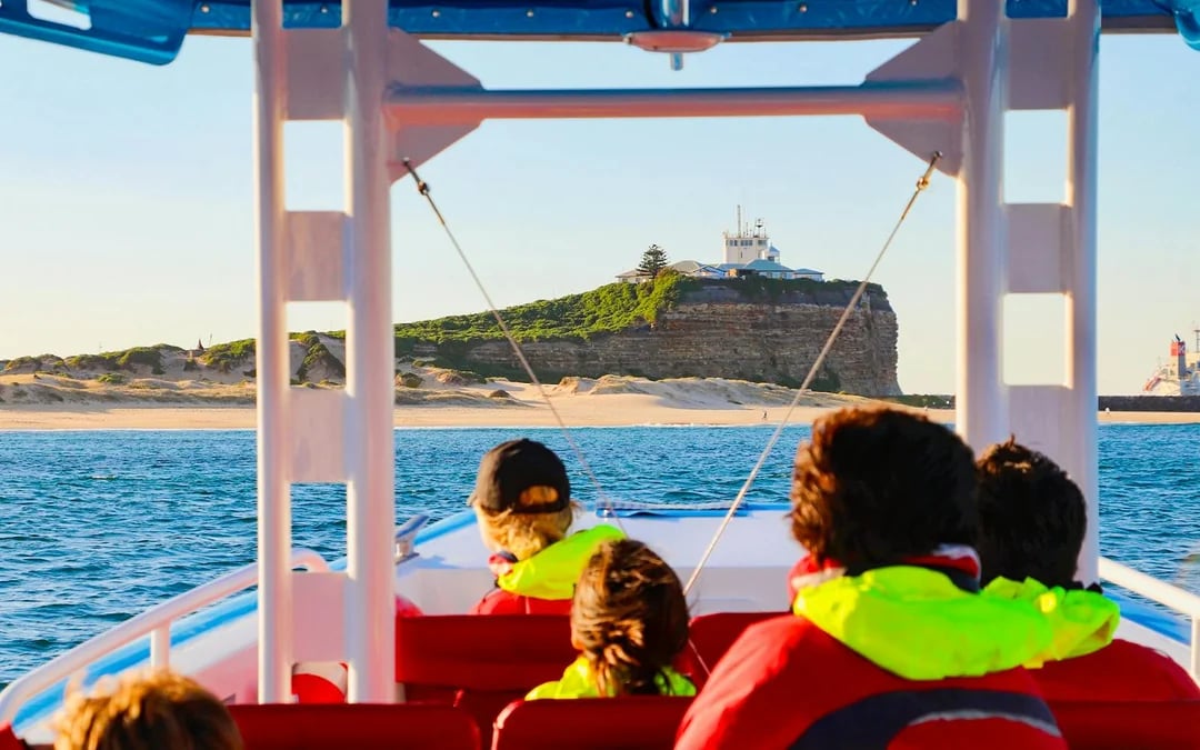 Newcastle Whale Watching Eco Cruise Image 12