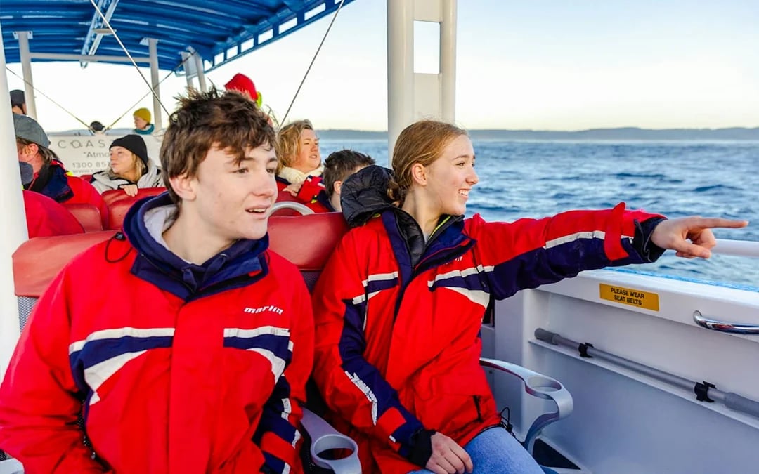 Newcastle Whale Watching Eco Cruise Image 3