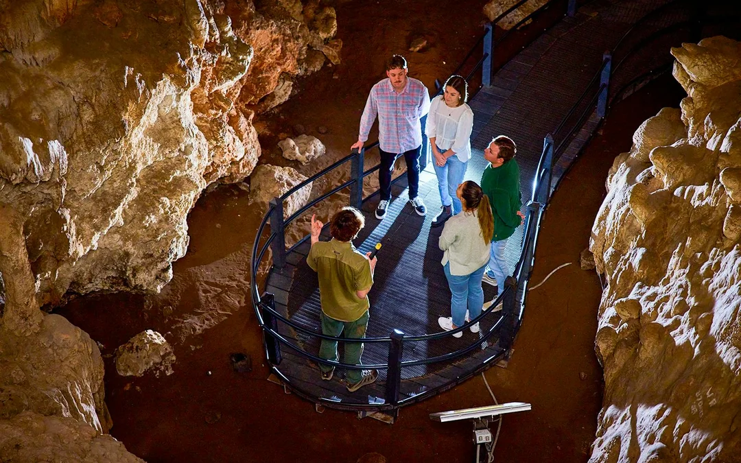 Ngilgi Cave Ancient Lands Experience Image 2