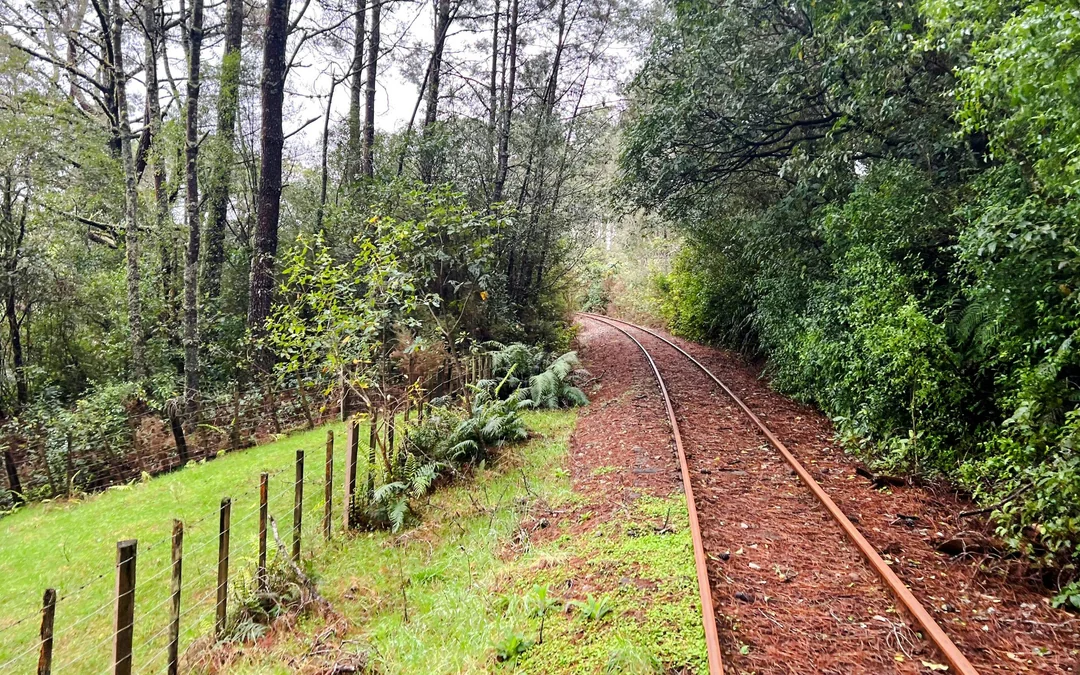 Ngongotaha Ultimate Journey: 2-Hour Self-Drive Rail Car Image 3