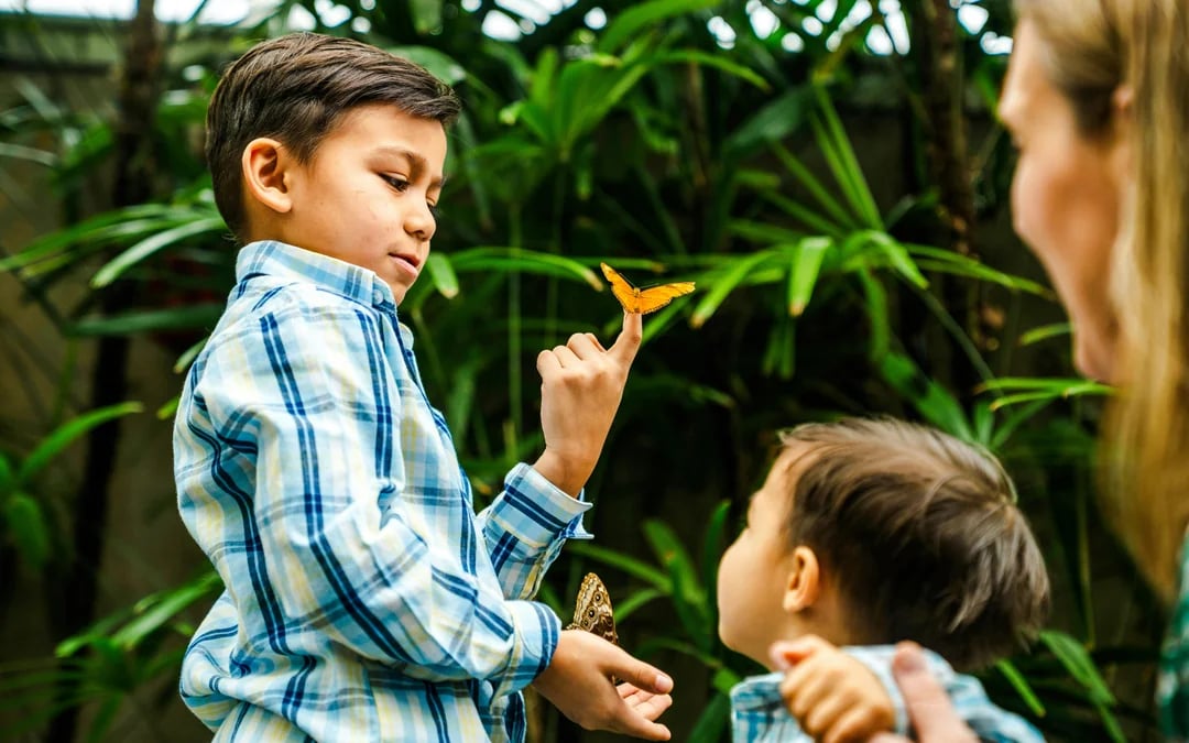 Niagara Falls Canada: Butterfly Conservatory Tickets Image 12