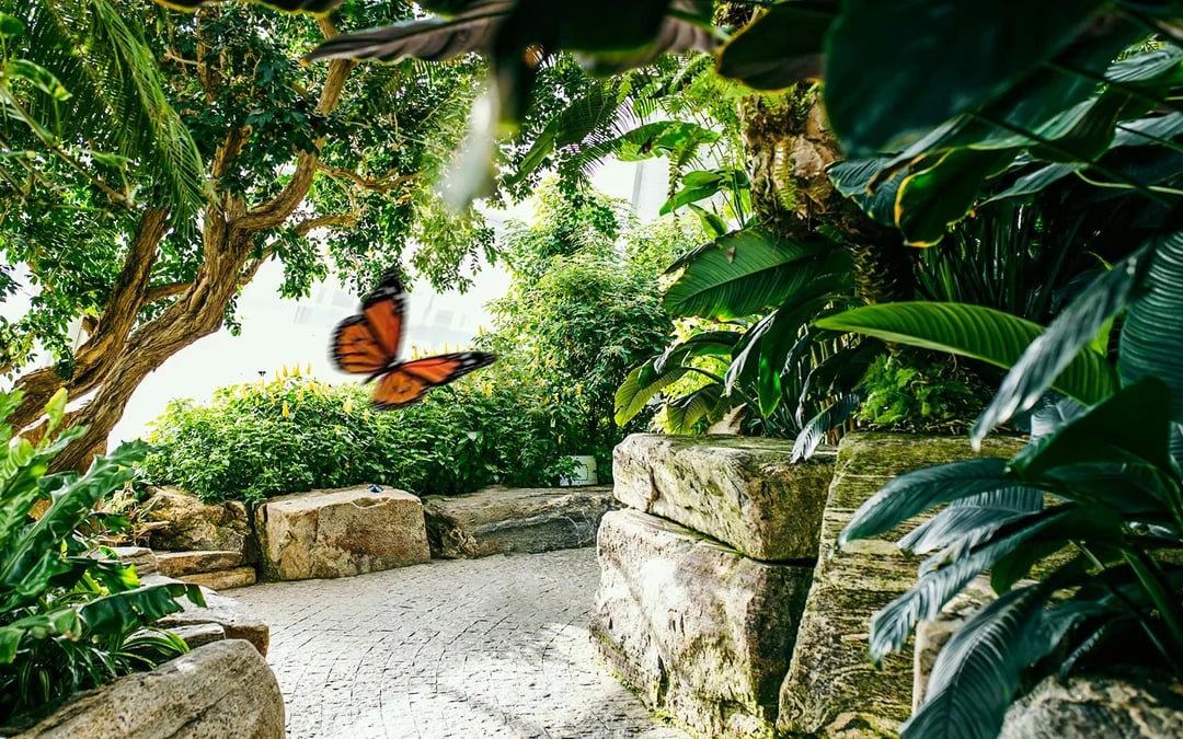 Niagara Falls Canada: Butterfly Conservatory Tickets Image 10