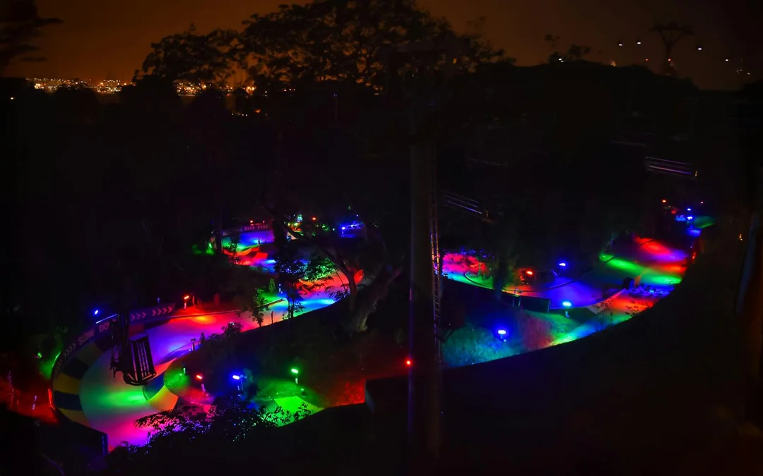 Night Luge & Skyride Singapore Tickets Image 3