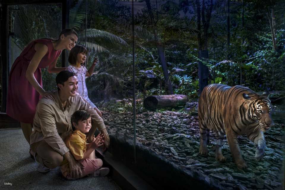 Night Safari Tickets | Mandai Wildlife Reserve, Singapore