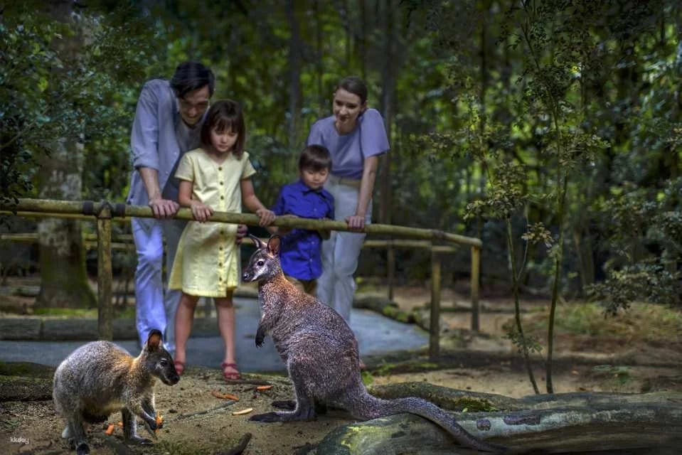 Night Safari Tickets | Mandai Wildlife Reserve, Singapore