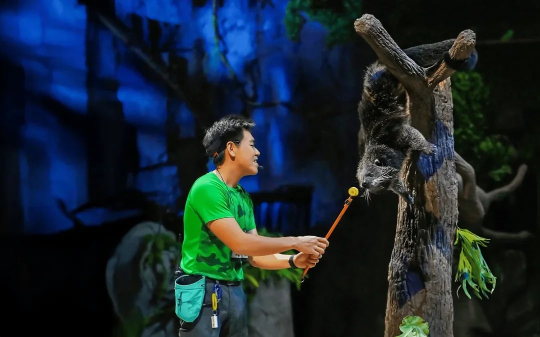 Night Safari Tickets | Mandai Wildlife Reserve Image 11