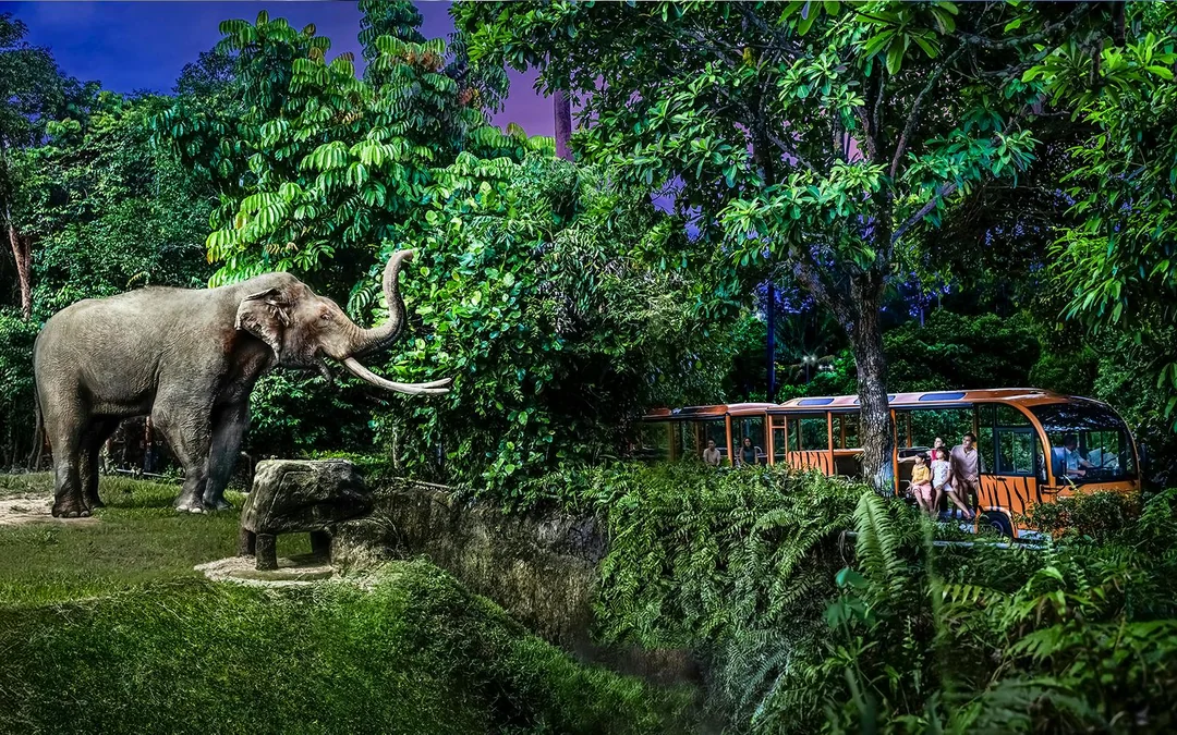 Night Safari Tickets | Mandai Wildlife Reserve Image 3