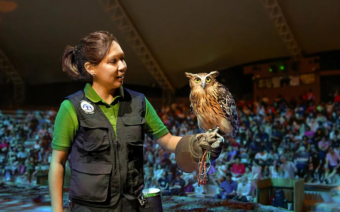 Night Safari Tickets | Mandai Wildlife Reserve Image 5